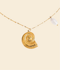 Shell Necklace